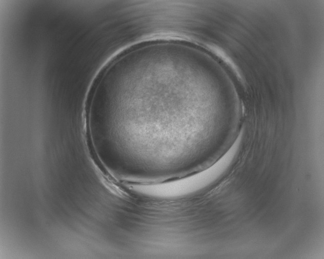 X0000076261372200609281156