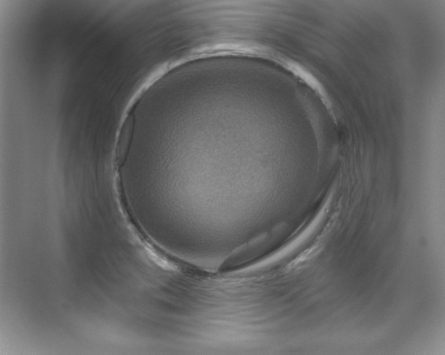 X0000076261373200609281156