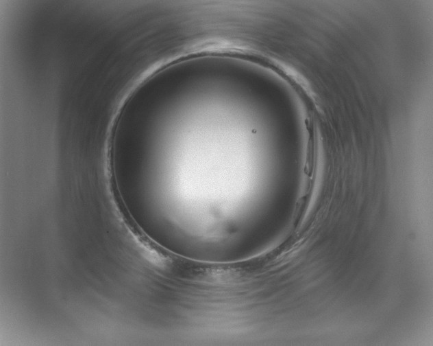X0000076261375200609281156