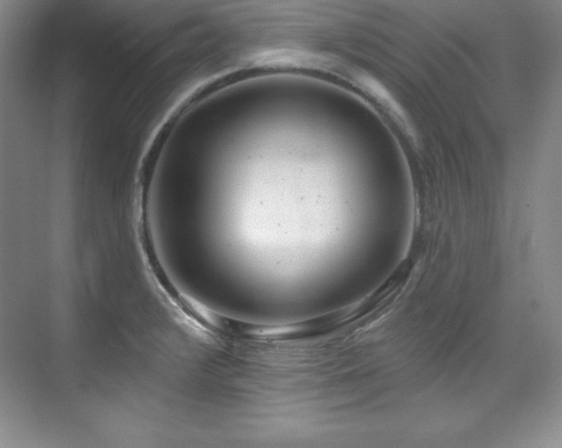 X0000076261376200609281156