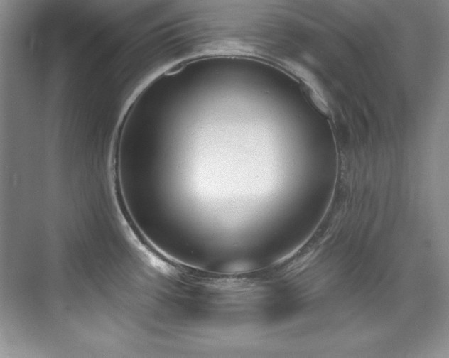 X0000076261387200609281155