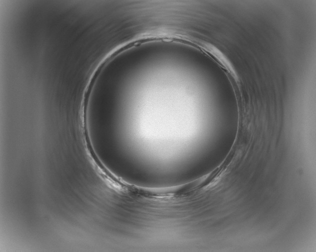 X0000076261388200609281155