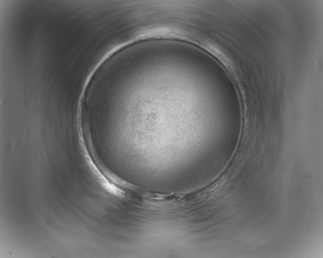 X0000076261392200609281155