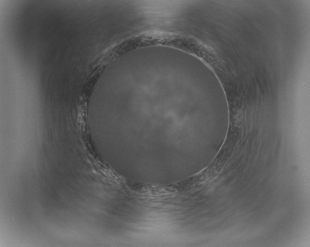 X0000076261397200609281155