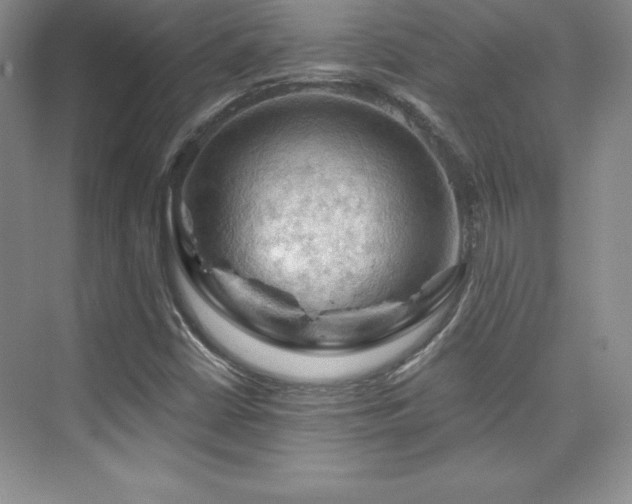 X0000076261402200609281155