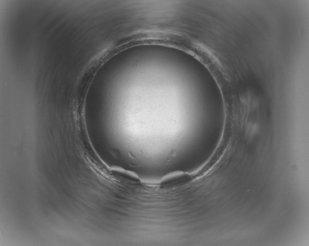 X0000076261403200609281155