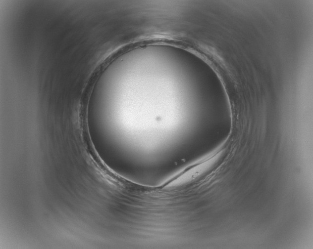X0000076261404200609281155
