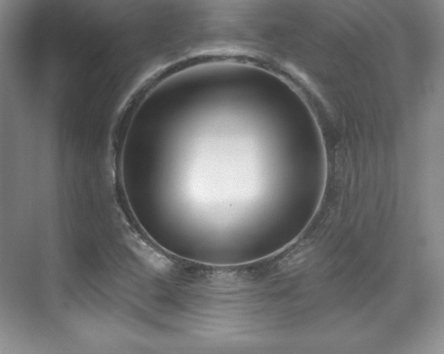 X0000076261408200609281155