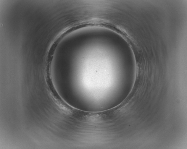 X0000076261410200609281155