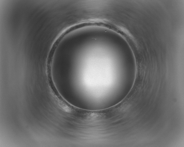 X0000076261412200609281155