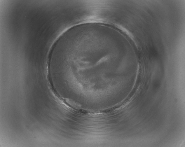 X0000076261415200609281155