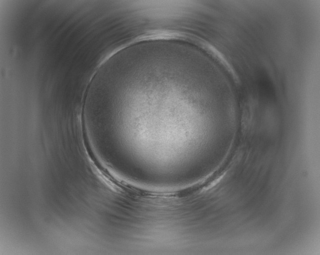X0000076261417200609281155