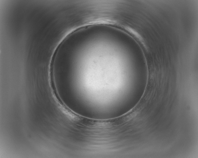 X0000076261423200609281155