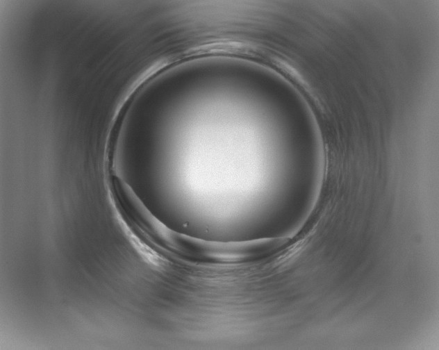 X0000076261426200609281155
