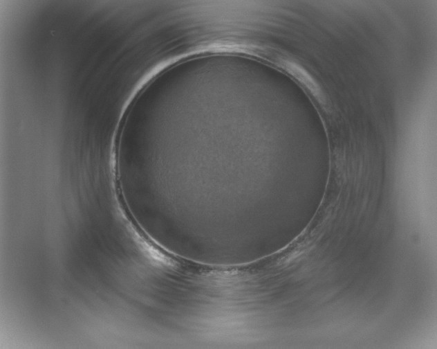X0000076261428200609281155