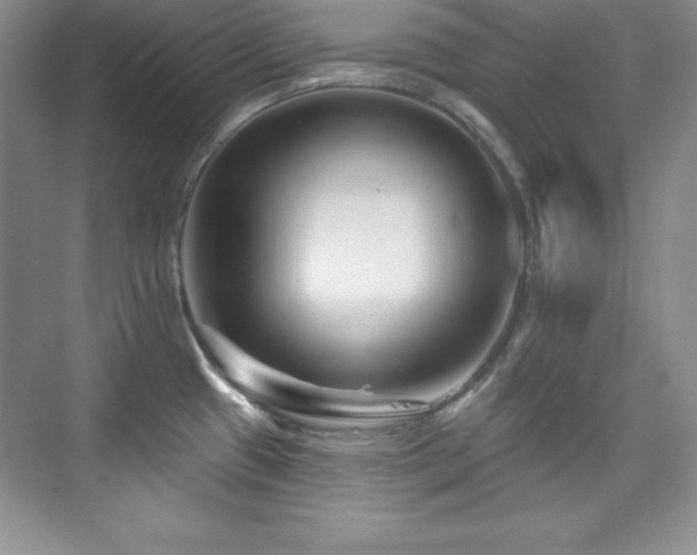X0000076261433200609281155