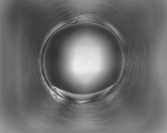 X0000076261434200609281155