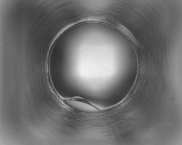 X0000076261436200609281155