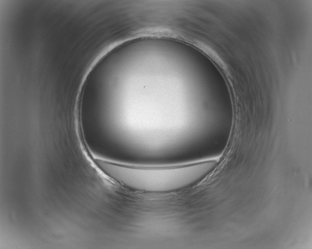 X0000076261440200609281155
