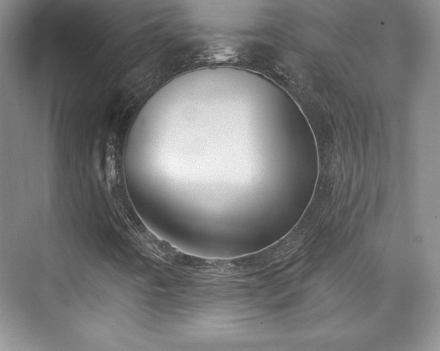 X0000076261442200609281155