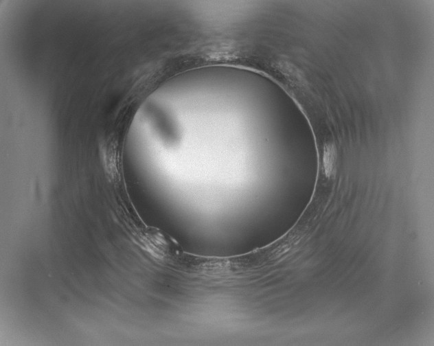 X0000076261444200609281155