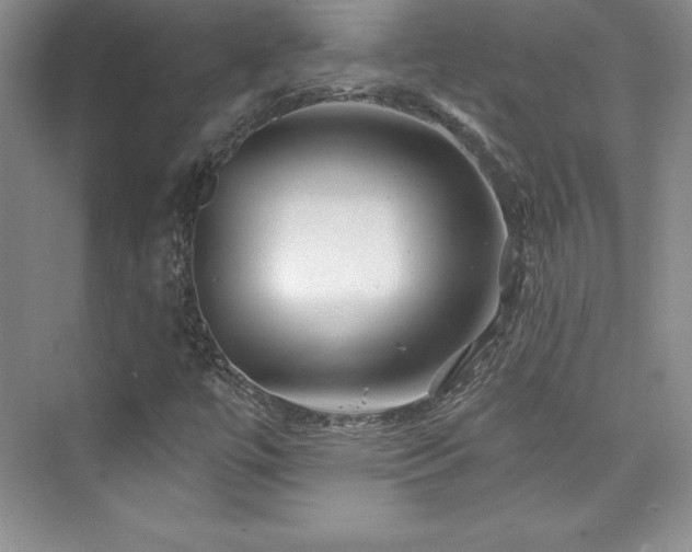 X0000076261447200609281154