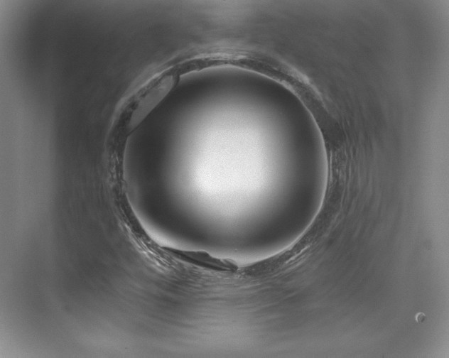 X0000076261448200609281154