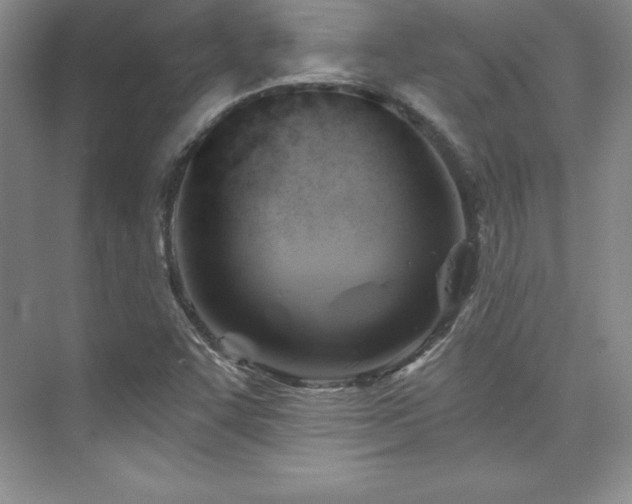 X0000076261455200609281154