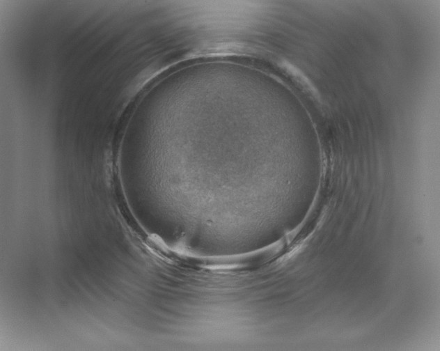 X0000076261457200609281154