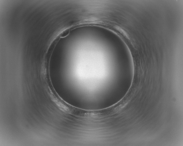 X0000076261458200609281154