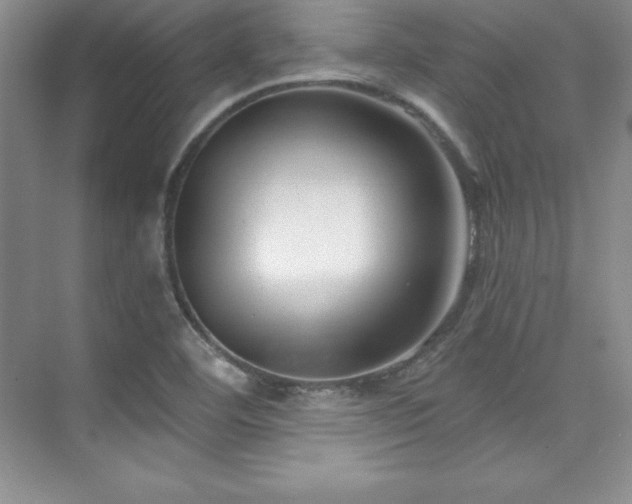 X0000076261460200609281154