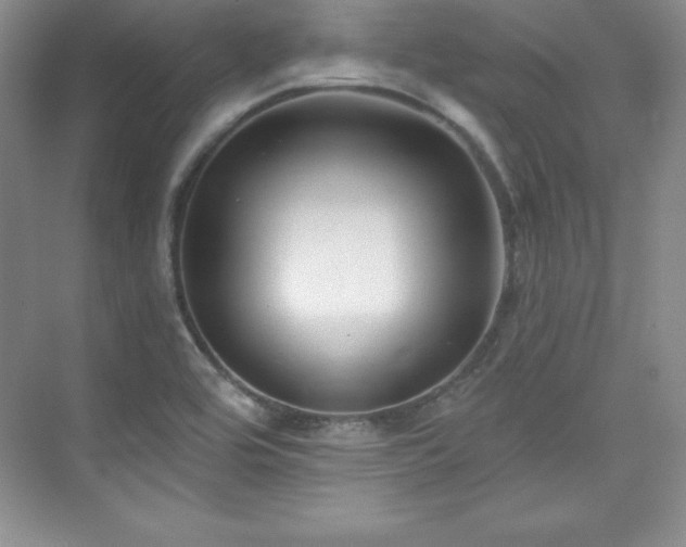 X0000076261464200609281154