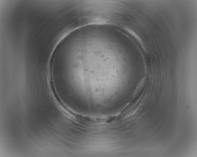 X0000076261467200609281154