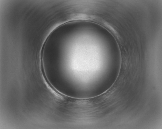 X0000076261479200609281154