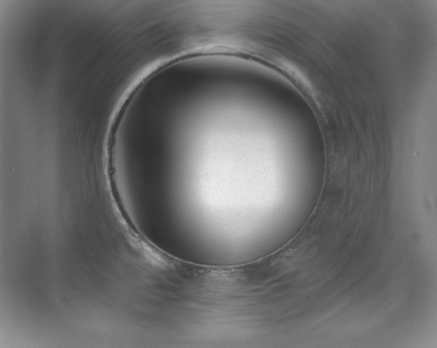 X0000076261480200609281154