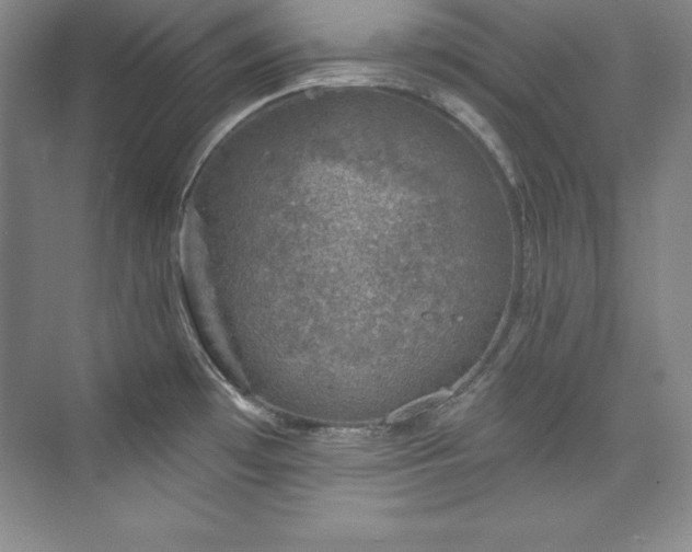X0000076261481200609281154