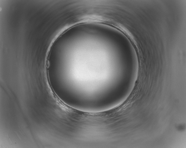 X0000076261488200609281154
