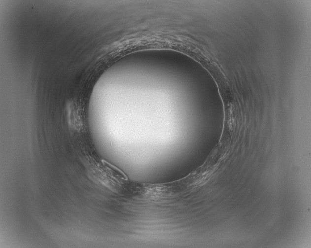 X0000076261490200609281153