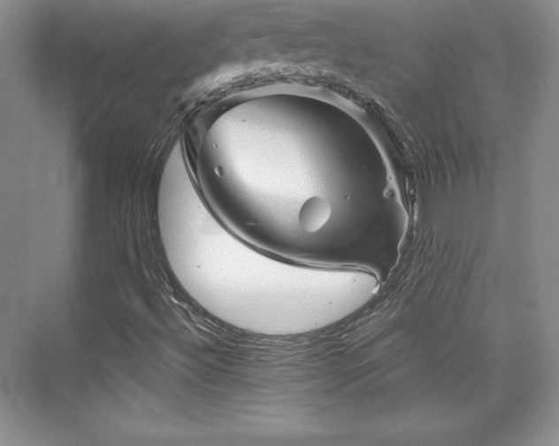 X0000076261492200609281153