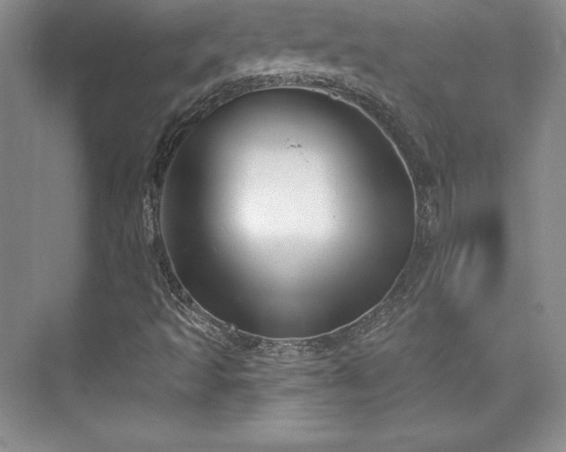 X0000076261493200609281153
