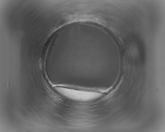 X0000076261497200609281153
