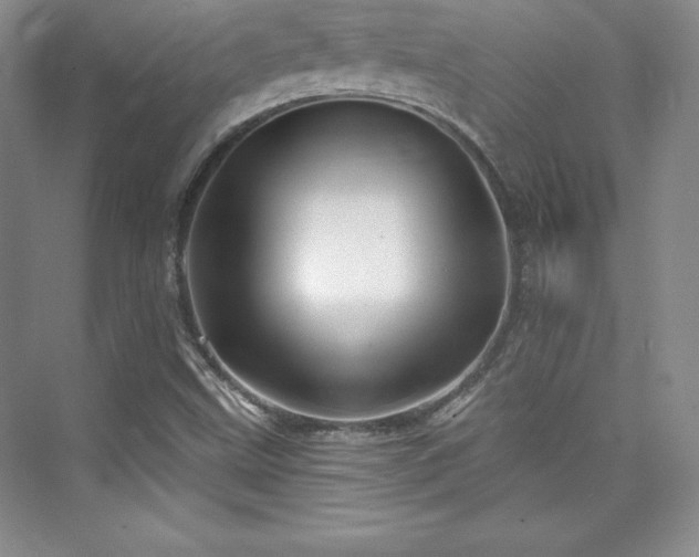 X0000076261499200609281153