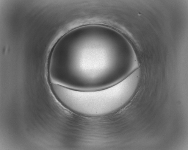 X0000076261512200609281153