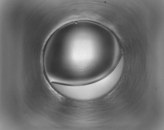 X0000076261516200609281153
