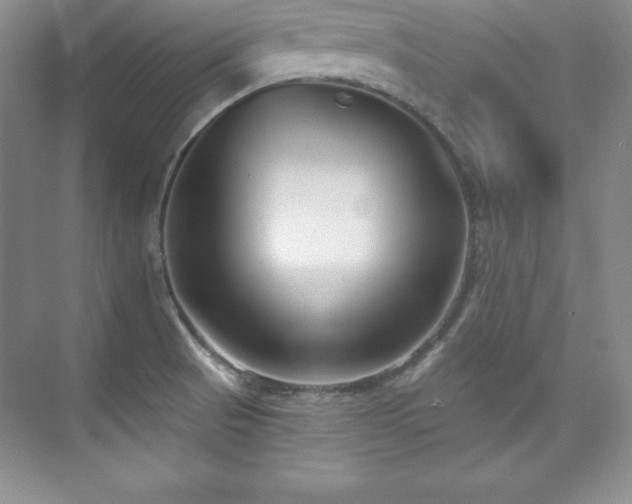 X0000076261521200609281154