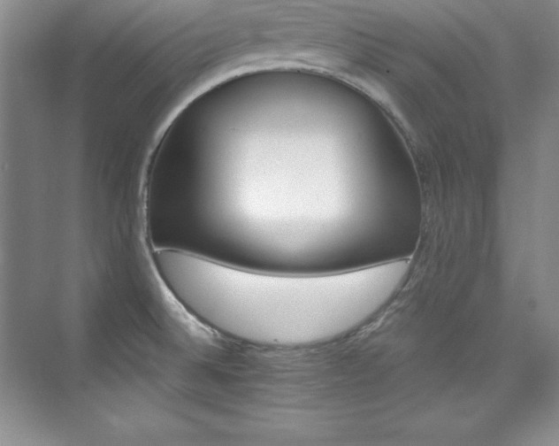 X0000076261524200609281154