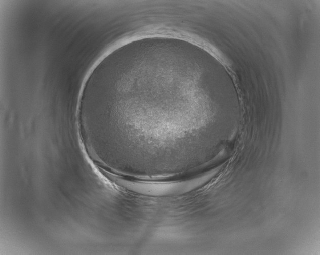 X0000076261536200609281154