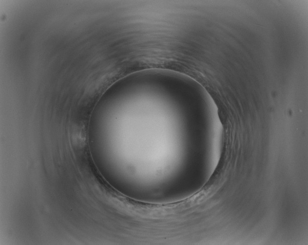 X0000076260040200610051256