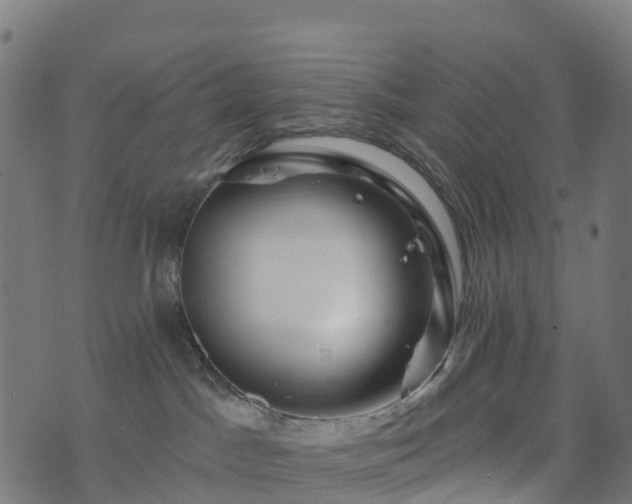 X0000076260045200610051256
