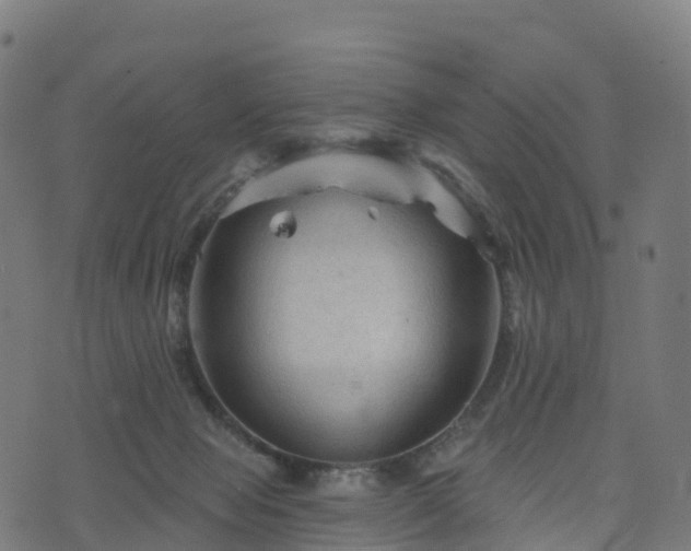 X0000076260077200610051256